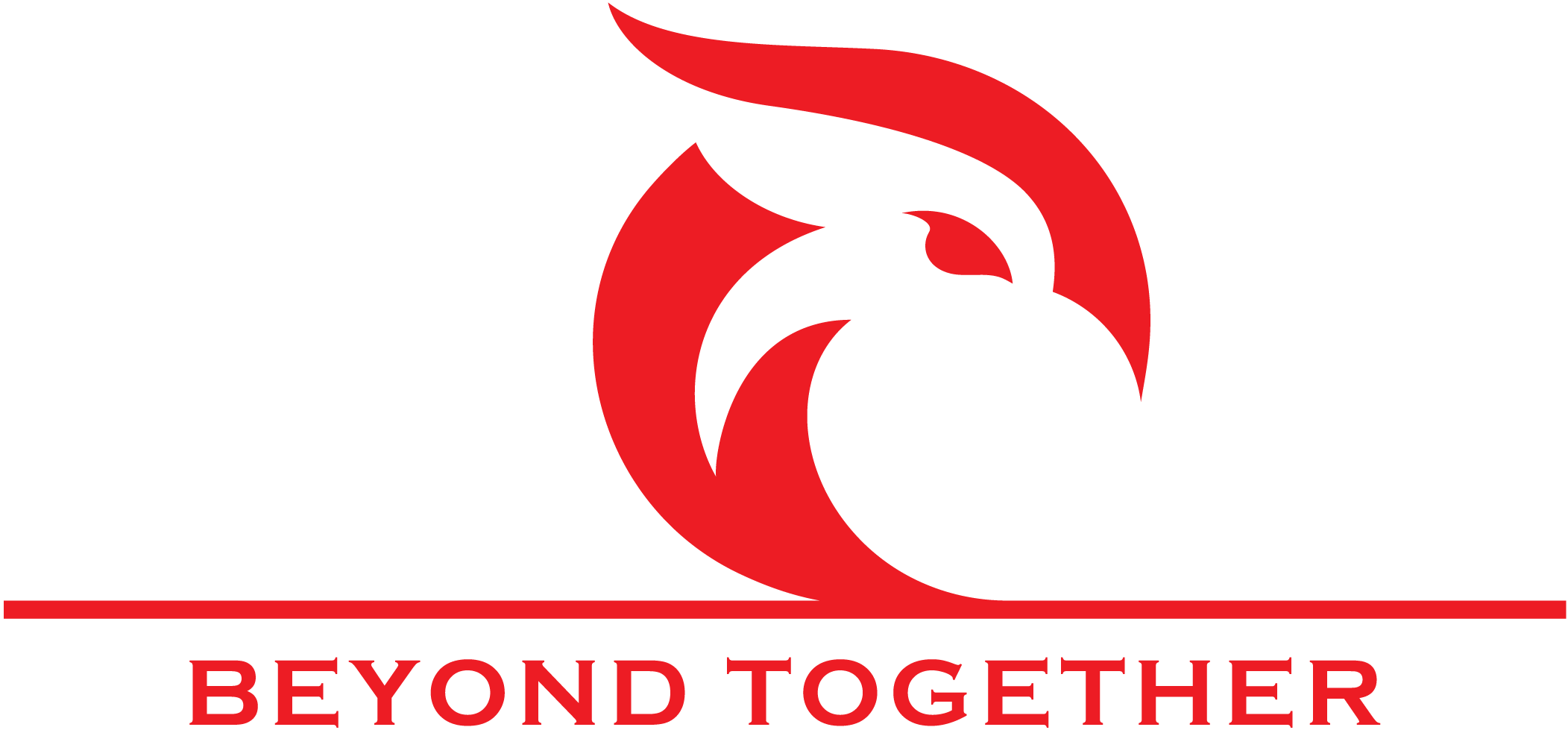 Falcons